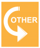 An orange colored background with a white arrow rotating around with the word Other in the middle